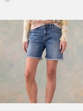 Driftwood Leo Denim Shorts Size 29